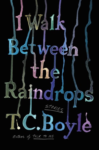 I Walk Between the Raindrops Stories