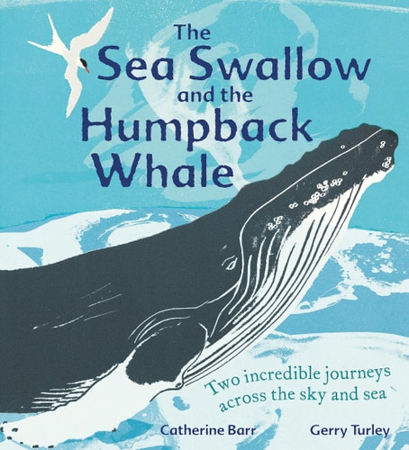 The Sea Swallow and the Humpback Whale Two Incredible Journeys Across the Sky and Sea