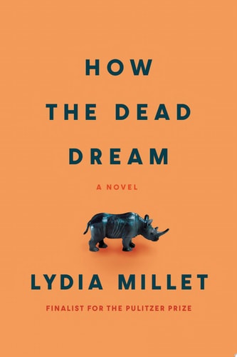 How the Dead Dream A Novel