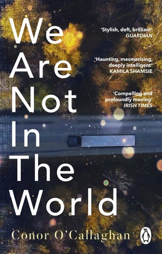 We Are Not in the World 'compelling and Profoundly Moving' Irish Times