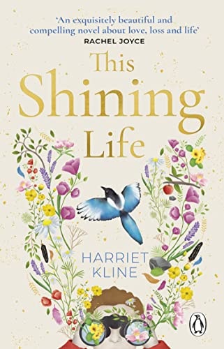This Shining Life A Powerful Novel about Treasuring Life