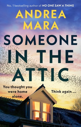 Someone in the Attic