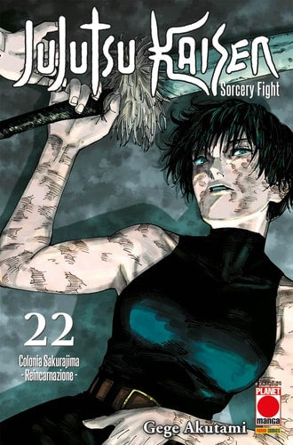 Jujutsu Kaisen. Sorcery Fight