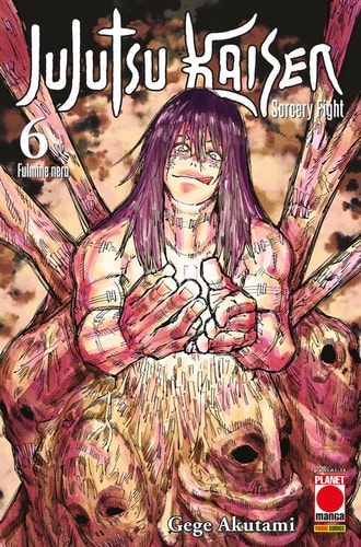Jujutsu Kaisen. Sorcery Fight