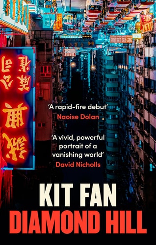 Diamond Hill Totally Unputdownable and Evocative Literary Fiction