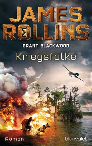 Kriegsfalke Roman