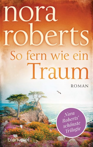 So fern wie ein Traum Roman