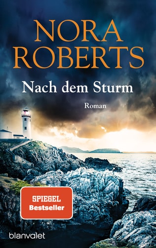 Nach dem Sturm Roman - Der Bestseller jetzt als Taschenbuch