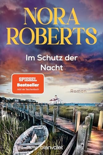 Im Schutz der Nacht Roman