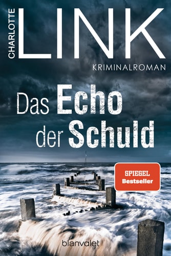 Das Echo der Schuld Kriminalroman