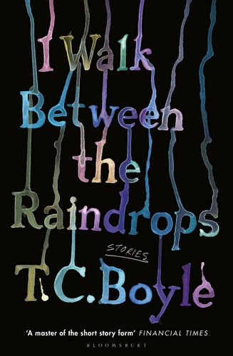 I Walk Between the Raindrops Stories