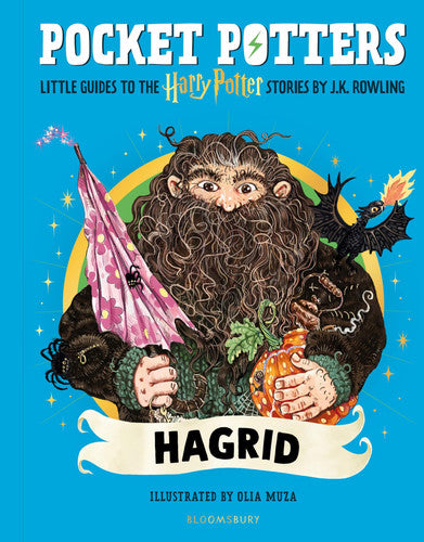 Hagrid (pocket potters)