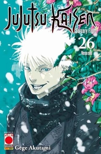 Jujutsu Kaisen. Sorcery Fight