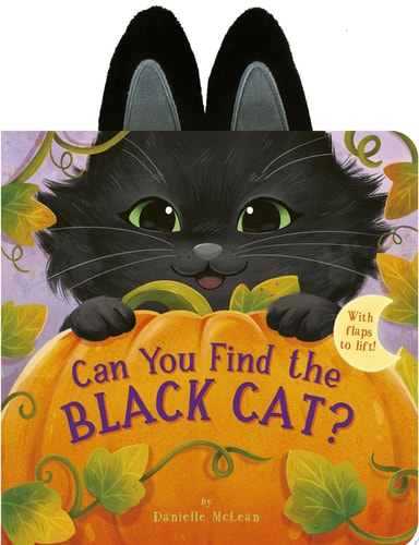 Can You Find the Black Cat? With flaps to lift!