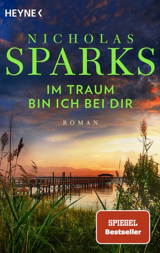 Im Traum bin ich bei dir Roman