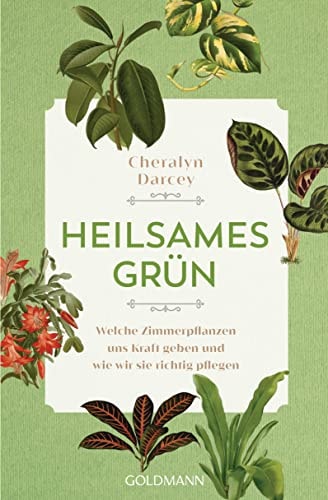 Heilsames Grün Welche Zimmerpflanzen uns Kraft geben und wie wir sie richtig pflegen