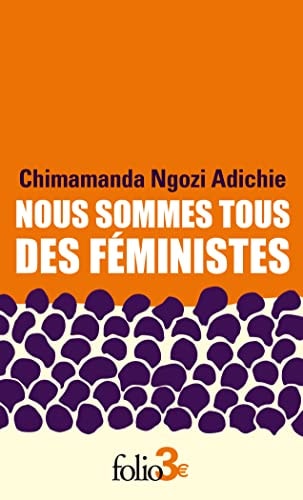 Nous sommes tous des féministes Suivi de Le danger de l'histoire unique