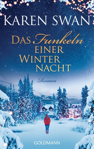 Das Funkeln einer Winternacht Roman