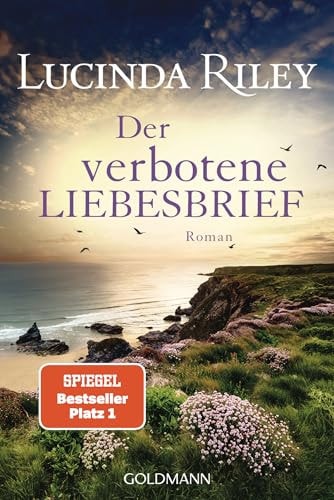 Der verbotene Liebesbrief Roman
