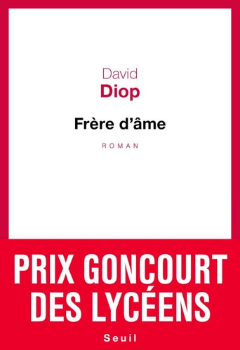 Frère d'âme roman
