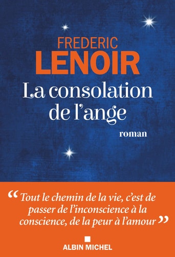 La consolation de l'ange roman