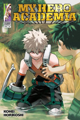 My hero academia. 29