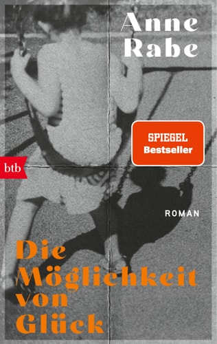 Die Möglichkeit von Glück Roman