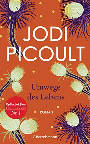 Umwege des Lebens Roman