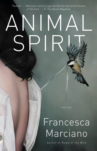 Animal Spirit Stories