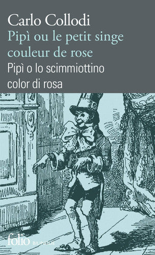 Pipì ou Le petit singe couleur de rose