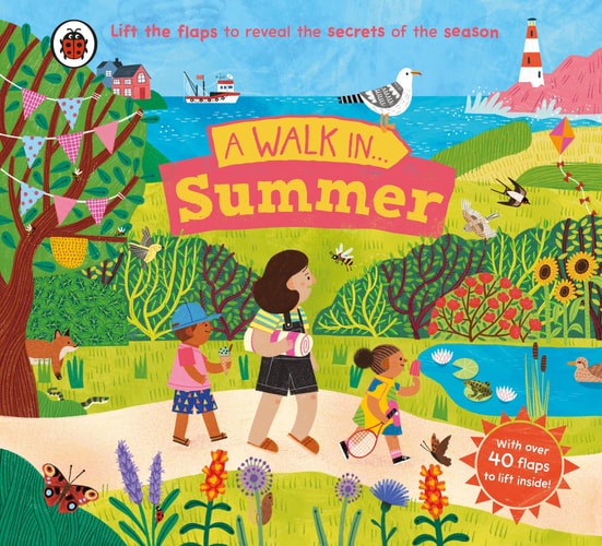 A Walk in Summer Lift the Flaps to Reveal the Secrets of the Season