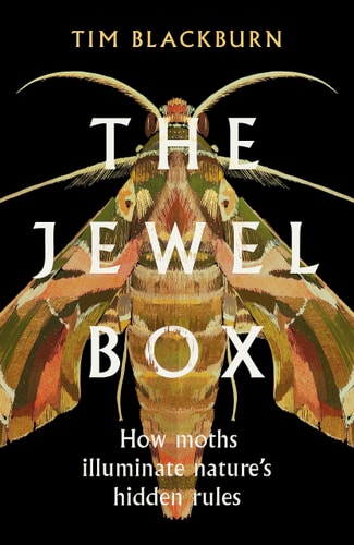The Jewel Box How Moths Illuminate Nature S Hidden Rules