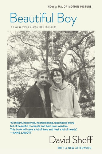 Beautiful Boy A Father's Journey Through His Son's Addiction