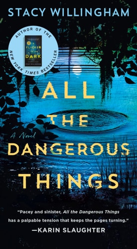 All the Dangerous Things A Novel