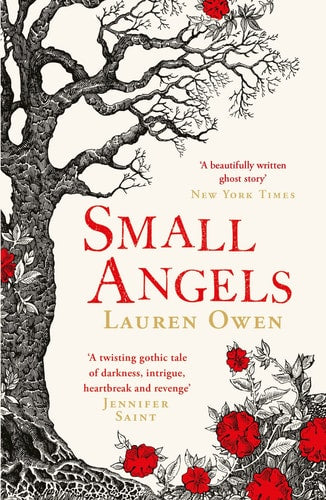 Small Angels 'a Twisting Gothic Tale of Darkness, Intrigue, Heartbreak and Revenge' Jennifer Saint