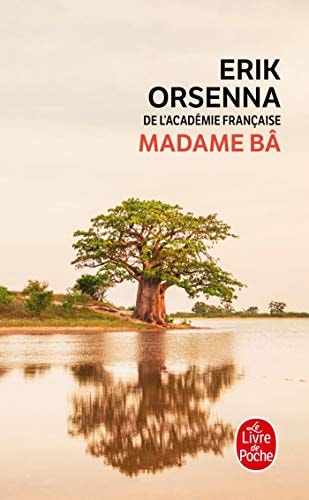Madame Bâ roman