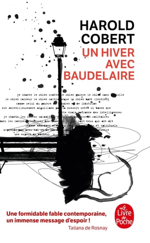 Un hiver avec Baudelaire roman