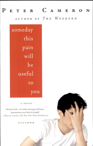 Someday This Pain Will Be Useful to You A Novel