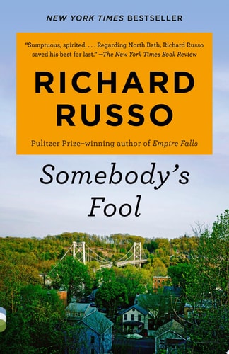 Somebody's Fool A novel