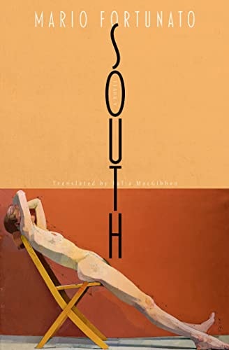 South A Novel