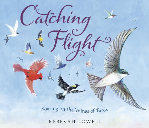 Catching Flight Soaring on the Wings of Birds