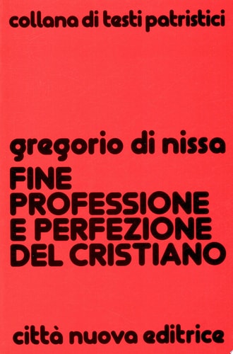 Fine, professione e perfezione del cristiano