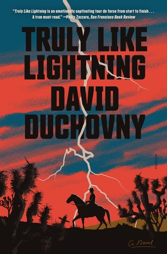 Truly Like Lightning A Novel