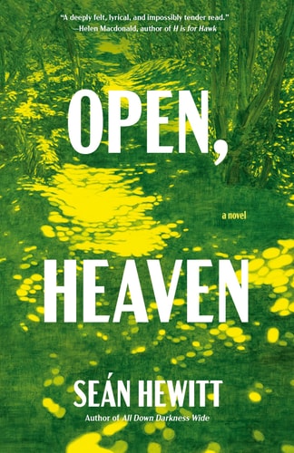Open, Heaven - A Novel