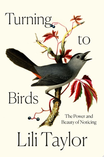 Turning to Birds The Power and Beauty of Noticing