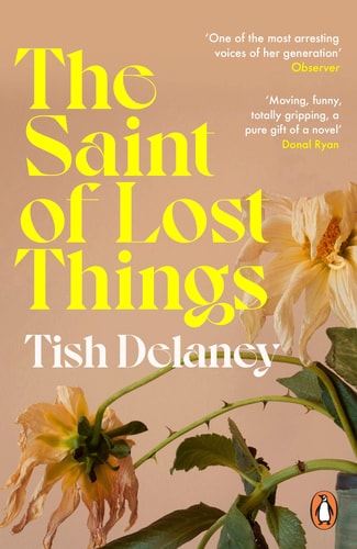 The Saint of Lost Things A Guardian Summer Read