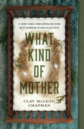 What Kind of Mother A Novel