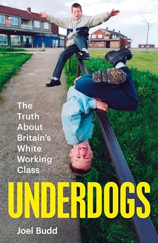 Underdogs The Truth about Britain's White Working Class