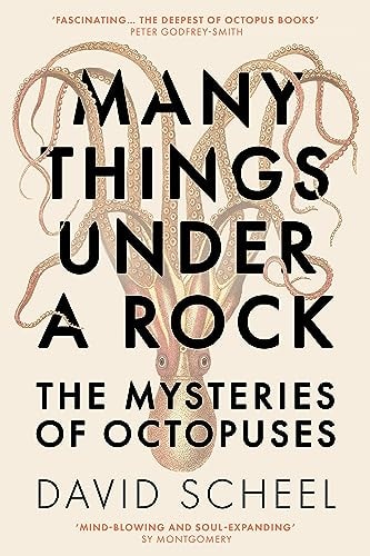 Many Things Under a Rock The Mysteries of Octopuses