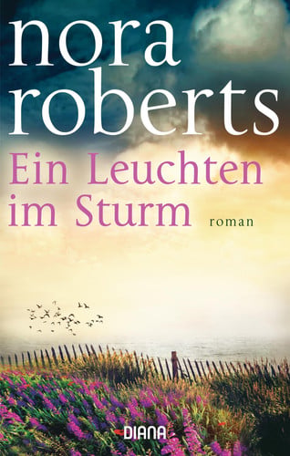 Ein Leuchten im Sturm Roman